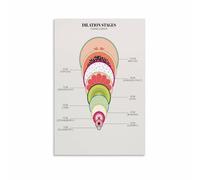 Childbirth Education Poster Cervical Dilation Stages During Labor Canvas Print Wall-Art for Nursing School Home Study Decor(Framed,08x12inch(20x30cm))