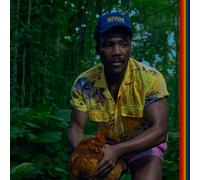 Childish Gambino - Bando Stone and The New World