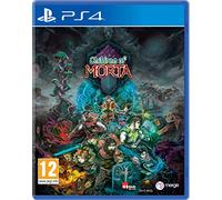 Children of Morta PS4 - PlayStation 4