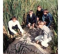 children of the mushroom