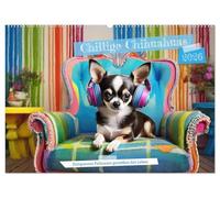 Chillige Chihuahuas - Entspannte Fellnasen genießen das Leben (Wandkalender 2026 DIN A2 quer), CALVENDO Monatskalender: Entspannung und Balance mit Chihuahuas