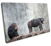 Chimpanzee funny Animals SINGLE TELA parete arte foto stampa