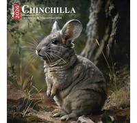 Chinchilla Calendar 2026: Fluffy Friends and Soft Adventures Through the Year