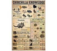 Chinchilla Knowledge Targa in metallo Poster in alluminio Come identificare il colore del cappotto del tuo cincillà Casa Camera da letto Bagno Soggiorno Cucina Decorazione della parete di casa 8x12