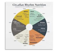 Chinese Medicine Meal Clock Poster Circadian Nutrition Timing Reference | Eat breakfast when stomach peaks lunch when heart strong(Framed,08x12inch(20x30cm))