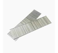 Chiodi in acciaio inossidabile 304-F25 (5000 colpi)