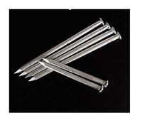 Chiodi in cemento ad alta resistenza chiodi da parete chiodi in acciaio chiodi in legno appesi chiodi pittura chiodi in ferro chiodi rotondi chiodi appesi unghie foto-200 pollici da 1,2 pollici