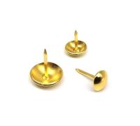 Chiodi in ferro a testa tonda, Confezione da 50 puntine da tappezzeria multicolore, diverse misure(11 * 9.5mm)