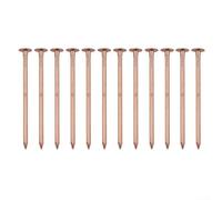 Chiodi in rame da 10,2 cm per la rimozione dei ceppi d'albero, punte in rame puro per uccidere efficacemente le radici, utensili manuali da giardino non disturbanti per eliminare alberi indesiderati e