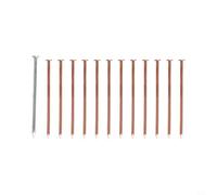 Chiodi in rame da 10,2 cm per la rimozione di tronchi d'albero, confezione da 12 punte resistenti per uccidere le radici con 1 chiodo pilota in acciaio inossidabile, soluzione non dannosa per