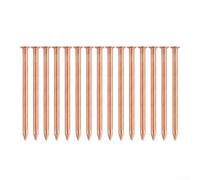 Chiodi in rame massiccio da 5 cm per uccidere ceppi d'albero, punte resistenti per la rimozione delle radici, picchetti non da giardino e perni di distruzione delle radici degli alberi