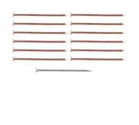 Chiodi in rame per uccidere alberi e rimuovere ceppi, 10,2 cm, chiodi in rame massiccio con scatola portaoggetti e chiodo in acciaio per forare, set da 13 pezzi