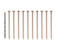 Chiodi in rame puro per uccidere alberi e ceppi 3,15 pollici Root Removal Spikes Hardware Kit con punta da trapano per il controllo del paesaggio del giardino Soluzione efficace per fermare la