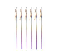 chiodi metallici da terra, Picchetti for tende in lega di titanio impieghi gravosi, picchetti ultraleggeri antivento campeggio(30CM 6PCS)