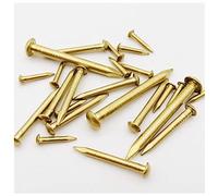 Chiodi per ferramenta, chiodi per cemento, Chiodi a testa tonda in rame puro, 10/100 pezzi di chiodi in dorato, 1,2/1,5/2/2,8 mm, piccoli mini in, lunghezza = 8-50 - 50 2x20(100pcs 1.2x10mm)