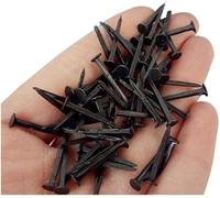 Chiodi per legno a testa piatta e tonda, Confezione Chiodi Legno 16-25mm 100 Grammi(22mm)