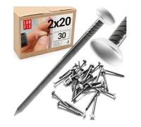 Chiodi per quadri muro 2x20 mm, 30 pezzi, Ø6 mm, acciaio testa argentata, chiodini cartongesso muro gesso, immagini da parete, chiodi compensato, appendi quadro per mattone legno Lun Fix