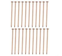 Chiodi per uccidere alberi in rame/Picchi per la rimozione dei ceppi/per hardware per uccidere le radici/Spighe per unghie in rame puro/Eliminatore di ceppi d'albero/Giardino per rimozione radici