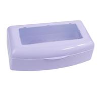 Chiodi Strumento Sterilizzatore Scatola Chiodi Cassetta degli attrezzi Sterilizzazioni Vassoio Chiodi Strumenti Contenitore Chiodi Forniture