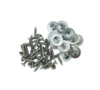 Chiodi topografici da 2,5 cm con Rondelle zincate - Confezione da 100 pezzi