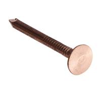 Chiodo a testa piatta in rame, 1 kg, 30 mm
