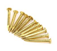 Chiodo a Testa Tonda da 100 Pezzi, Accessori Hardware per Cerniere per Mobili in Ottone 10 Mm/15 Mm/18 Mm/22 Mm per Appendere lo Specchio con Cornice(15mm long)