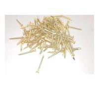 CHIODO TT FERRO OTTONATO 1X10 MG14191