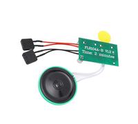 Chip Biglietto d'auguri Fai-da-Te Modulo Chip Audio vocale Registrabile da 120 Secondi per scatole/inviti