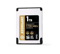 CHIPFANCIER Scheda di memoria CFexpress 4.0 da 256 GB, fino a 1750 MB/s di velocità di lettura e 1750 MB/s in scrittura, tipo A, per registrazione video RAW 4K/8K, compatibile con fotocamere Sony