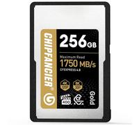 CHIPFANCIER Scheda di memoria CFexpress 4.0 da 256 GB, fino a 1750 MB/s di velocità di lettura e 1750 MB/s in scrittura, tipo A, per registrazione video RAW 4K/8K, compatibile con fotocamere Sony
