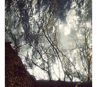 Chiral - Gazing Light Eternity