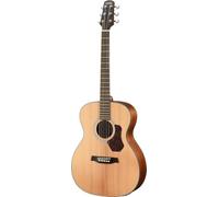 Chitarra acustica WALDEN O550EW