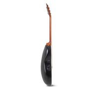 Chitarra - Chitarre Elettroacustiche Celebrity Standard Plus Mid Cutaway - Fi...