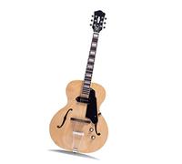 Chitarra Elettrica A 6 Corde Con Pickup P90 Corpo Cavo E Hardware Cromato Chitarre Elettriche Principianti