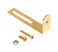 Chitarra Elettrica Battipenna Montaggio Staffa di Supporto Scratch Piastra Vite Dor