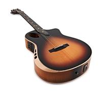 Chitarra elettroacustica Thinline c/EXP 16 corde di Hartwood