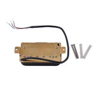 Chitarra Humbucker Doppio Bobina Pick-Up/Collo Ponte / for St Sq Elettrica