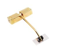 Chiudiporta automatico a molla, Chiudiporta automatico idraulico in acciaio inossidabile regolabile 20-40 kg 1000 mm nero dorato(Golden)
