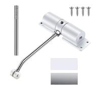 Chiudiporta Automatico, Regolabile Chiudi Porta a Molla, Chiudiporta di Sicurezza con 4 Viti e Leva di Regolazione per Casa e Ufficio (Bianco)