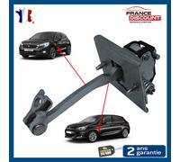 Chiusura Porta Cerniera Anteriore Sinistro o Destro C4 II DS4=9181.R1 9181R1