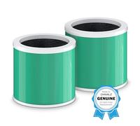 CHIVALZ HY1800 Filtro di ricambio compatibile con purificatore d'aria Loytio/AYAFATO/Honeyuan HY1800, filtro HEPA 13 per allergie agli animali domestici (confezione da 2)