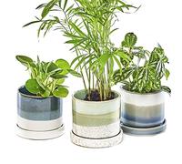 Chive Vasi per piante in ceramica 'Minute' - Carini, bellissimi vasi per fiori e piante da appartamento per interni ed esterni - Set di 3 - Verde e Blu