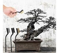 Chiyyak 3 Pezzi di Mini Spazzola Filo con Impugnatura in Plastica per il Bagagliaio, la Cresta, la Spazzola Bonsai, gli Strumenti per la Pulizia del Giardino