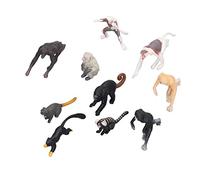 Chiyyak Prime Monkey Figura 14 × 7 × 4 10 Pezzo di Naso di Primati Scimmia Gibbone Orang -utan Lemur Modello Decorazione Animale Set Scimmia Figura Prima