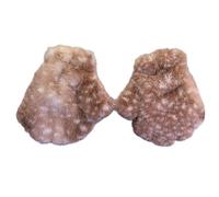 CHIZISX Guanti caldi a tema fuzzy protezioni per le mani con design ergonomico presa sicura e opzione di dimensioni familiari Guanti termici leggeri per pendolarismo, Marrone, Taglia unica