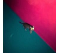Chk Chk Chk (!!!) - Wallop (Vinyl Pink Limited Edt.)