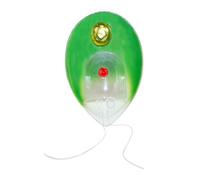 Chlamydomonas Modelli Tridimensionali Competitor Core Modello anatomico della pianta a singola cellula per la ricerca medica Modello di Chlamydomonas a singola cellula Biologia Modello di scienza