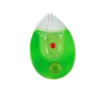 Chlamydomonas Modello Biologia Scienza Pianta Anatomica Singola Cellulare Biologia Aiuto didattico per gli studenti Chlamydomonas a singola cellula Modello Biologia Scienza Modello Anatomico Pianta