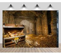 CHNBGPRO 2.1x1.5m Treasury Hall Sfondo Monete Oro Scatole del Tesoro Perso Tesori Antichi Regni e Castelli Sfondo Pirata Tesoro Halloween Festival Decorazioni Festa Photo Booth Studios Puntelli
