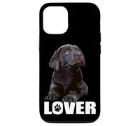 Chocolate Lab Dog - Labrador Retriever, cucciolo di cane marrone Custodia per iPhone 12/12 Pro